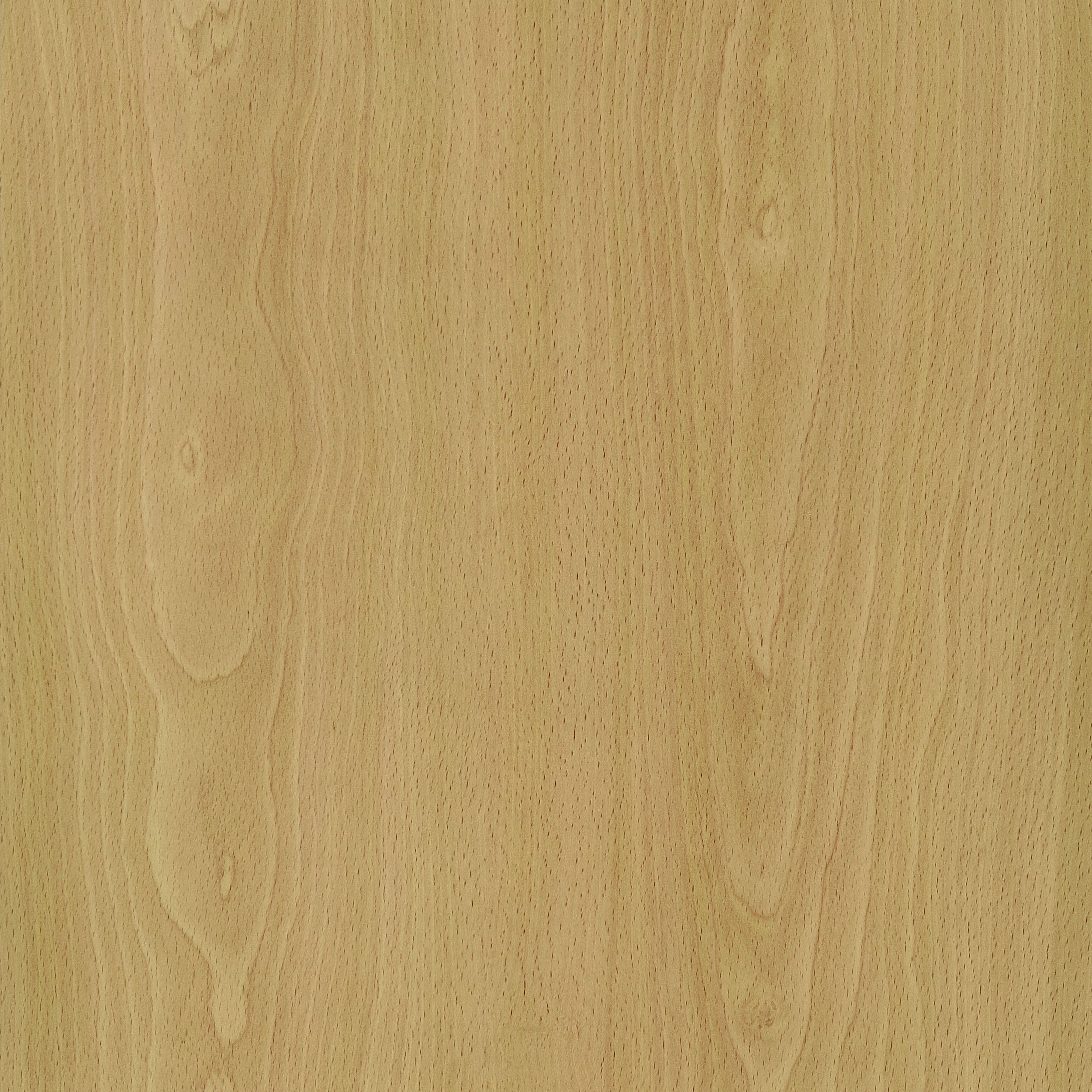 Mattison Four-Panel Room Divider