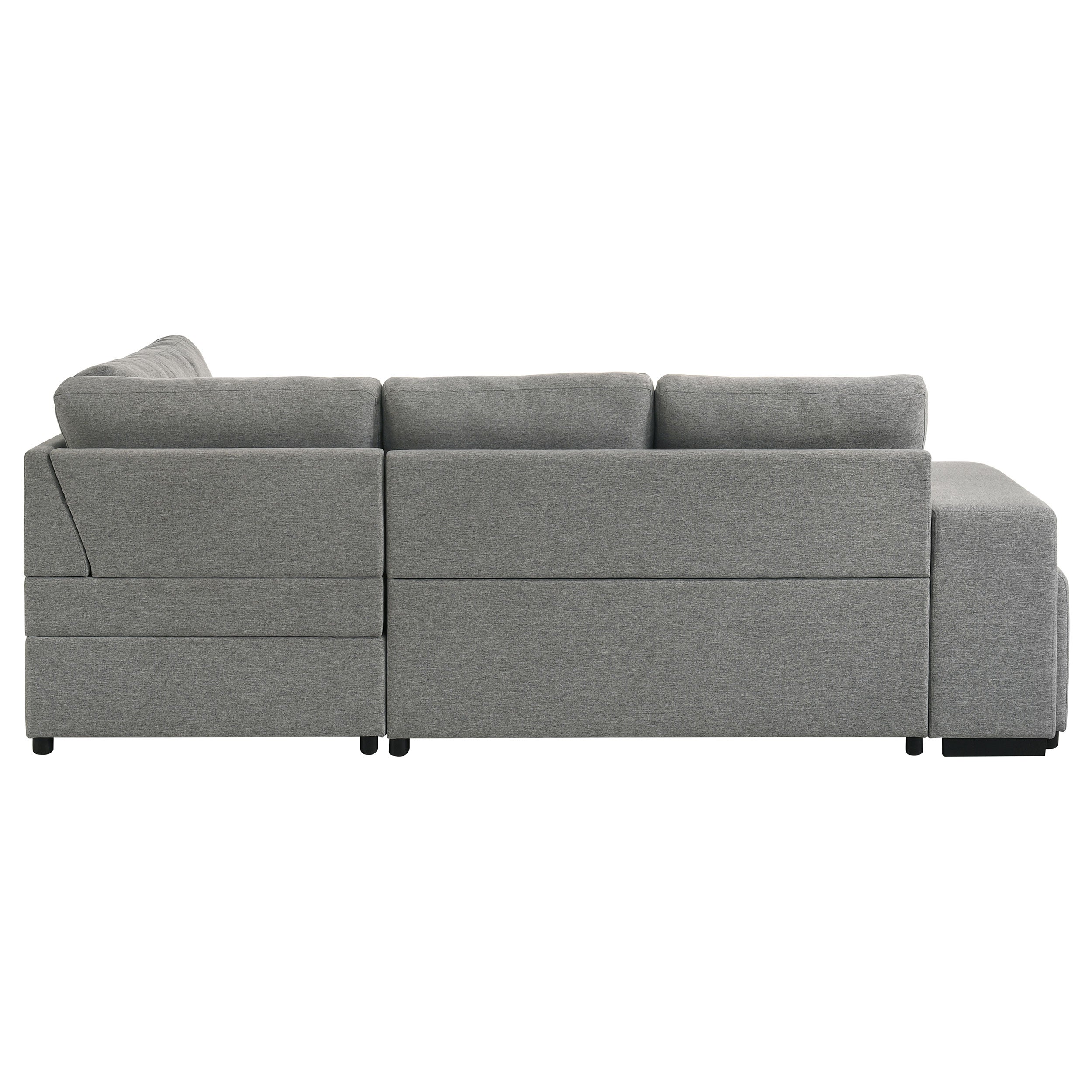 Roanne Pull-Out Sleeper Sectional Sofa